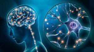 Neuroplasticity & Brain Recovery - Understanding the Brain’s Power to Heal
