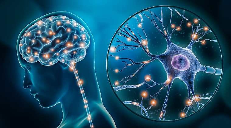 Neuroplasticity & Brain Recovery - Understanding the Brain’s Power to Heal